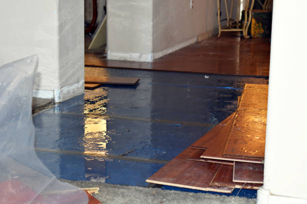 Professional Burst Pipe Cleanup technician working in Helotes, TX